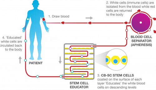 Throne_Stem_Cell_Educator_Therapy_process Throne Stem Cell Educator Therapy Process