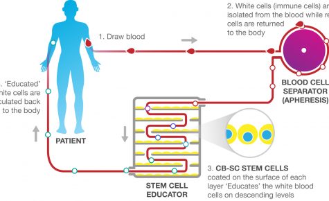 Throne_Stem_Cell_Educator_Therapy_process, resized Throne_Stem_Cell_Educator_Therapy_process, resized